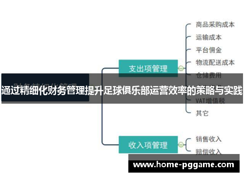 通过精细化财务管理提升足球俱乐部运营效率的策略与实践